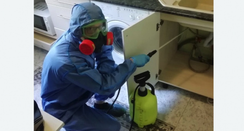 Уничтожение муравьев в квартире. Сосновоборск