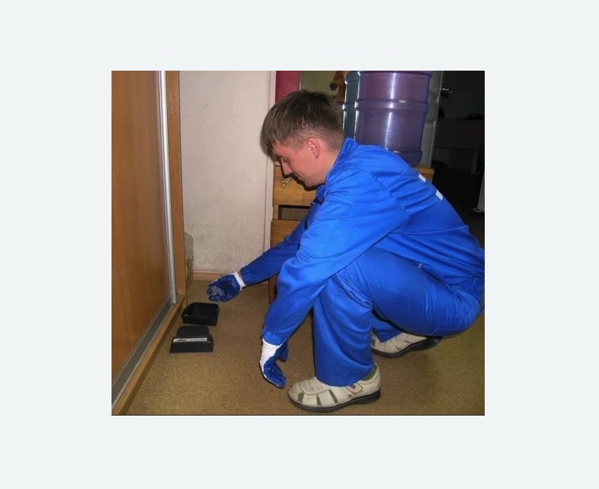 Дератизация крыс Дератизация крыс в Сосновоборске