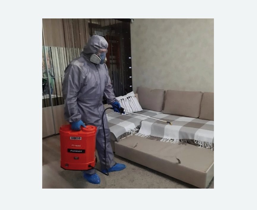 Обработка квартиры от блох в Сосновоборске Обработка квартиры от блох