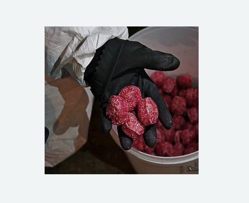 Обработка от крыс Обработка от крыс в Сосновоборске