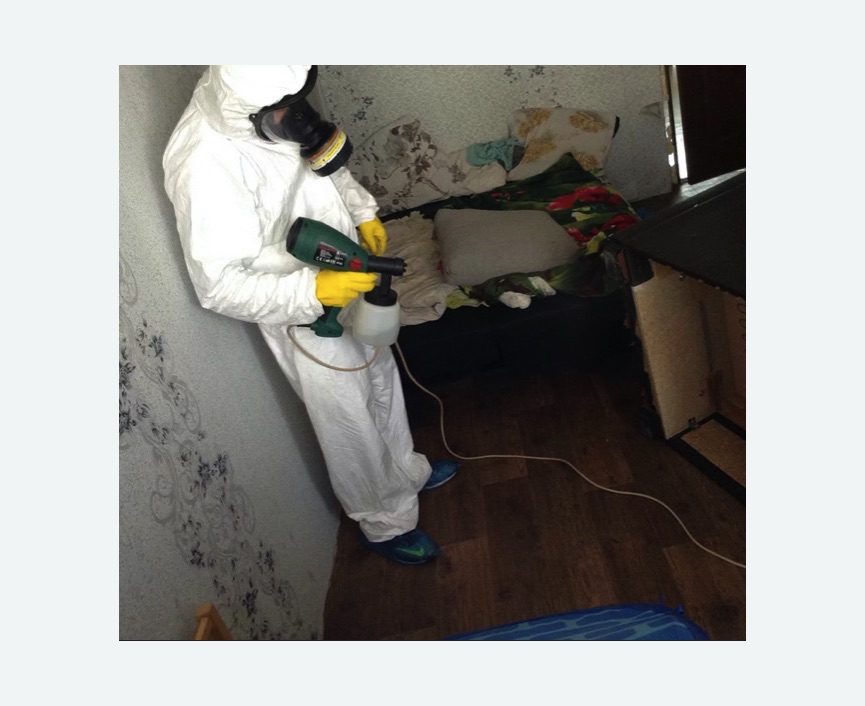 Обработка от насекомых в Сосновоборске Обработка квартиры от насекомых