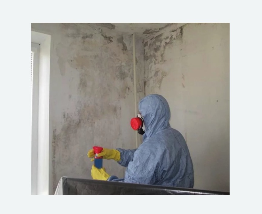 Удаление плесени в квартире Удаление плесени в квартире в Сосновоборске