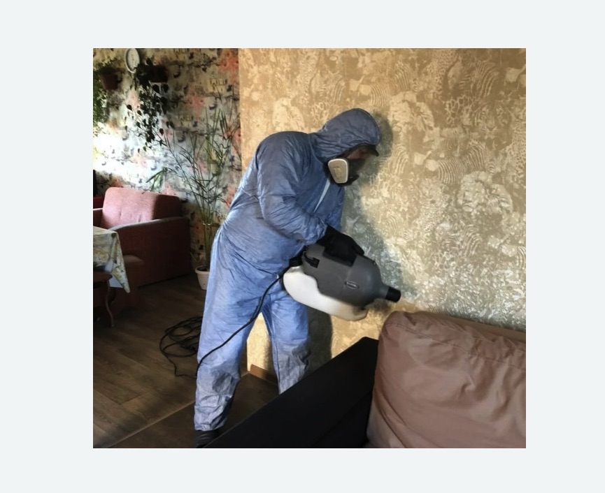 Уничтожение блох в квартире. Сосновоборск Уничтожение блох в квартире