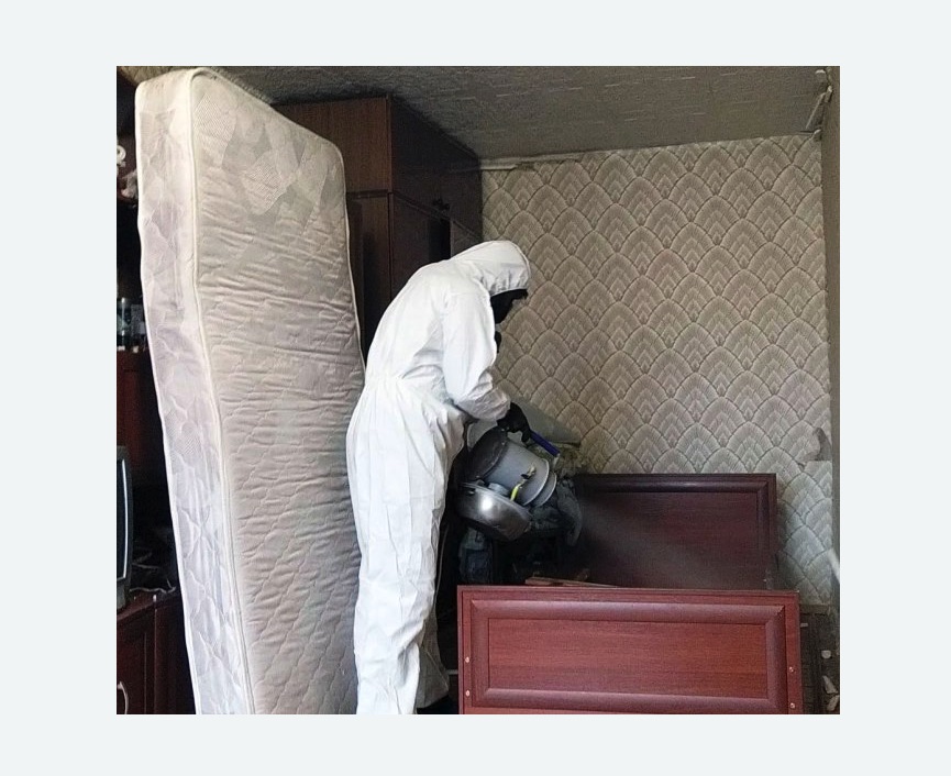 дезинфекция от клопов дезинфекция от клопов в Сосновоборске