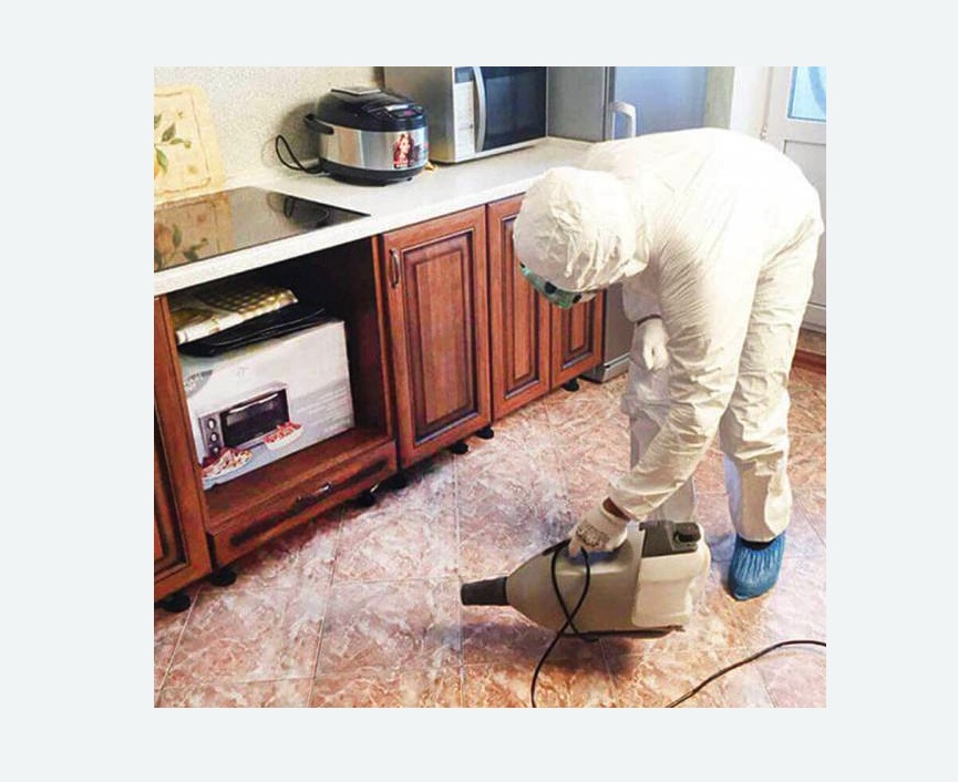 обработка квартиры от клопов в Сосновоборске обработка квартиры от клопов