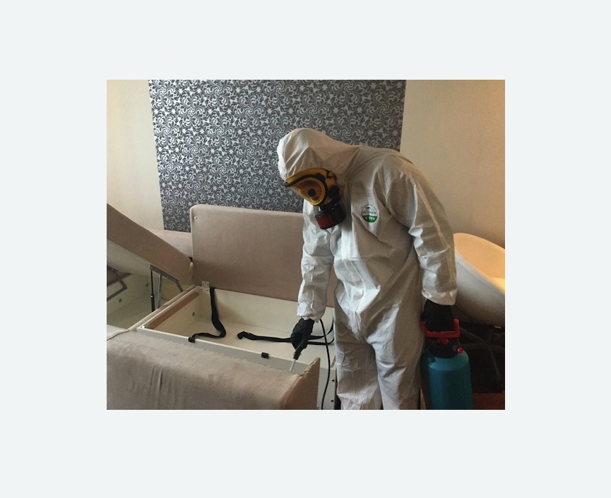 уничтожение клопов в квартире уничтожение клопов в квартире в Сосновоборске