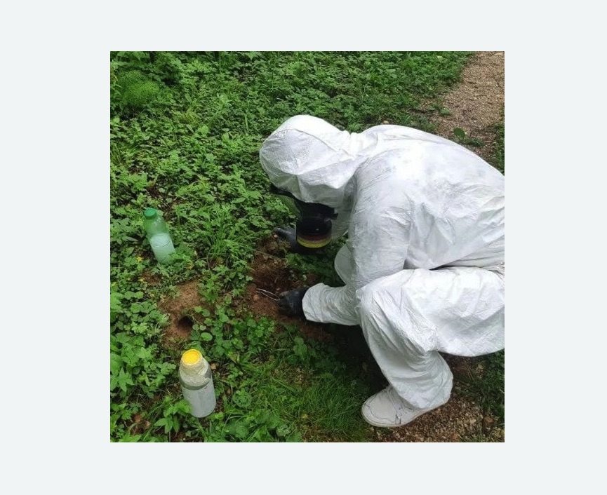 уничтожение кротов на участке уничтожение кротов на участке в Сосновоборске