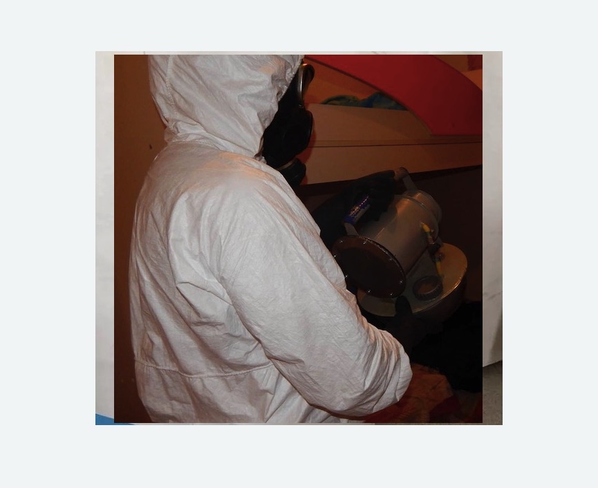 Дезинфекция от муравьев Дезинфекция от муравьев в Сосновоборске