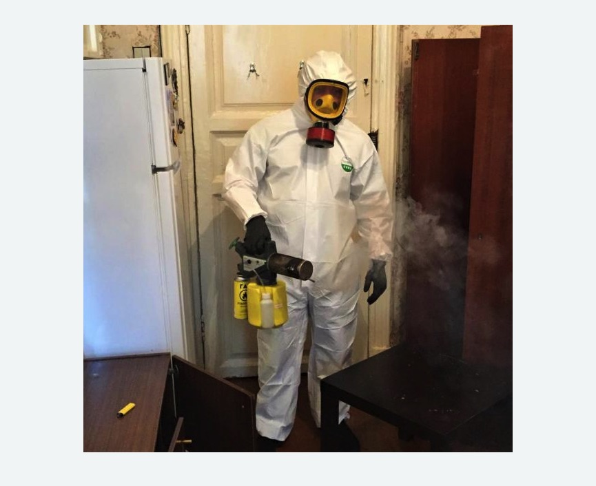 уничтожение муравьев в квартире уничтожение муравьев в квартире в Сосновоборске